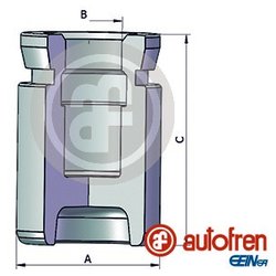 Seinsa/Autofren D025432