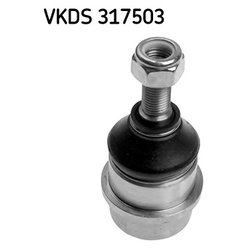 SKF VKDS317503