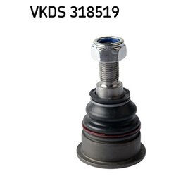 SKF VKDS318519