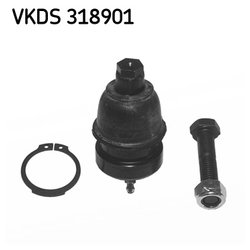 SKF VKDS318901