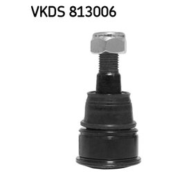 SKF VKDS813006