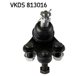 SKF VKDS813016