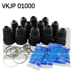 SKF VKJP 01000