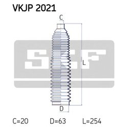 SKF VKJP 2021