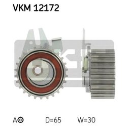 SKF VKM 12172