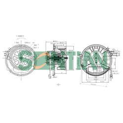 SONTIAN ZD172638