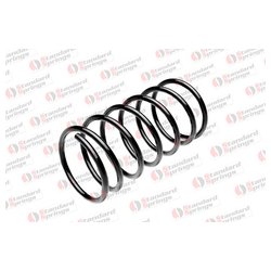 Фото STANDARD SPRINGS ST106037F