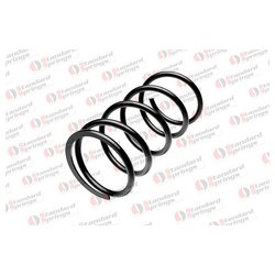 STANDARD SPRINGS ST112019F