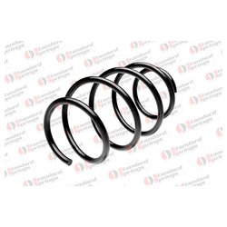 Фото STANDARD SPRINGS ST114005F