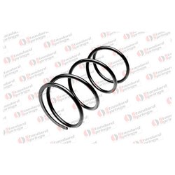 Фото STANDARD SPRINGS ST119016F