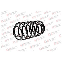 Фото STANDARD SPRINGS ST124077R