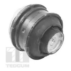 TEDGUM TED81021