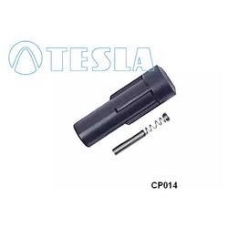 Tesla CP014