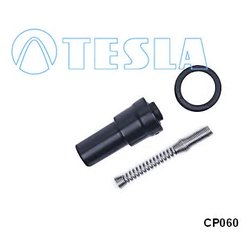Tesla CP060