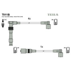 Tesla CP117