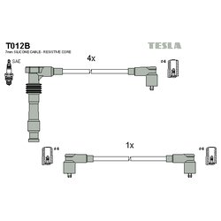 Tesla CP118