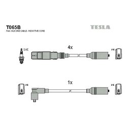 Tesla T065B