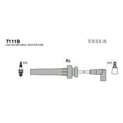 Tesla T111B