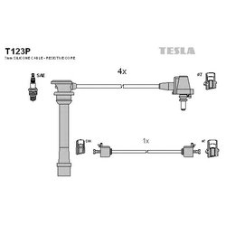 Tesla T123P