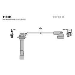 Tesla T181B