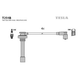 Tesla T251B