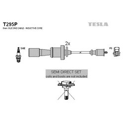 Tesla T295P