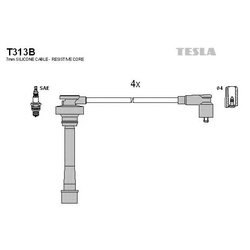 Фото Tesla T313B