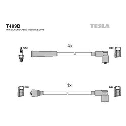 Tesla T489B