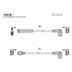 Tesla T491B