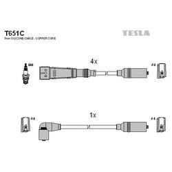 Tesla T651C