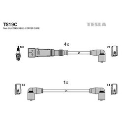 Tesla T819C