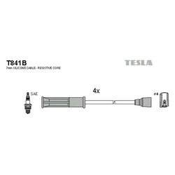 Tesla T841B