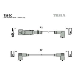 Tesla T865C