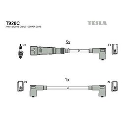Tesla T920C