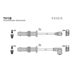 Tesla T975B