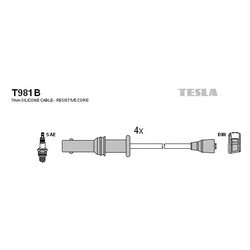 Tesla T981B