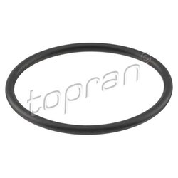 Фото Topran 100 618