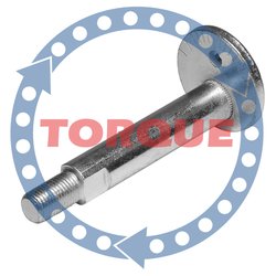 Фото Torque CP004