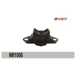 TRT NR1066