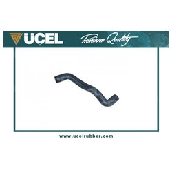 UCEL 15564