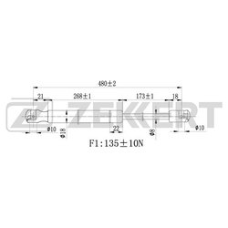 ZEKKERT gf2168